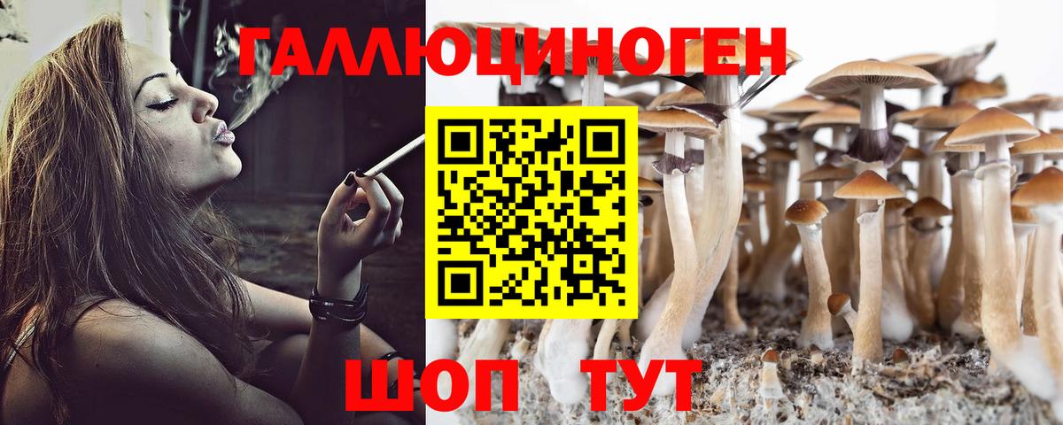 Галлюциногенные грибы мицелий  Псилоцибиновые грибы Psilocybe  Крымск  сколько стоит  Вход с VPN 
